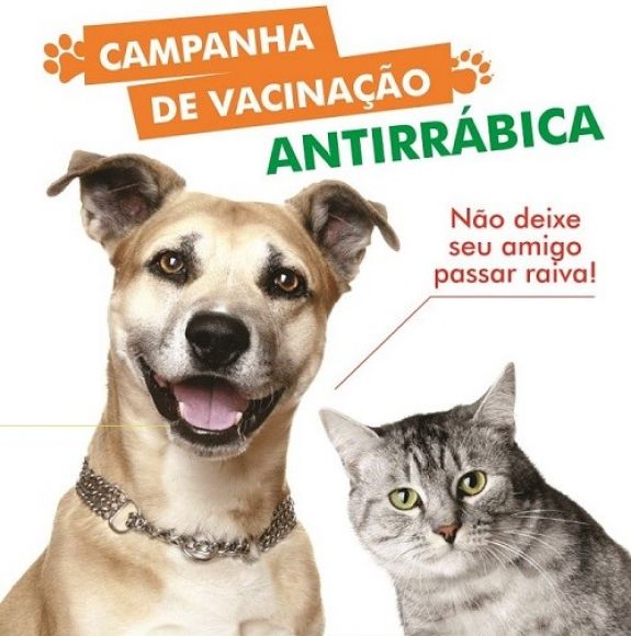 Vacina&ccedil;&atilde;o Antirr&aacute;bica 