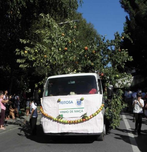 Feiras Novas 2010